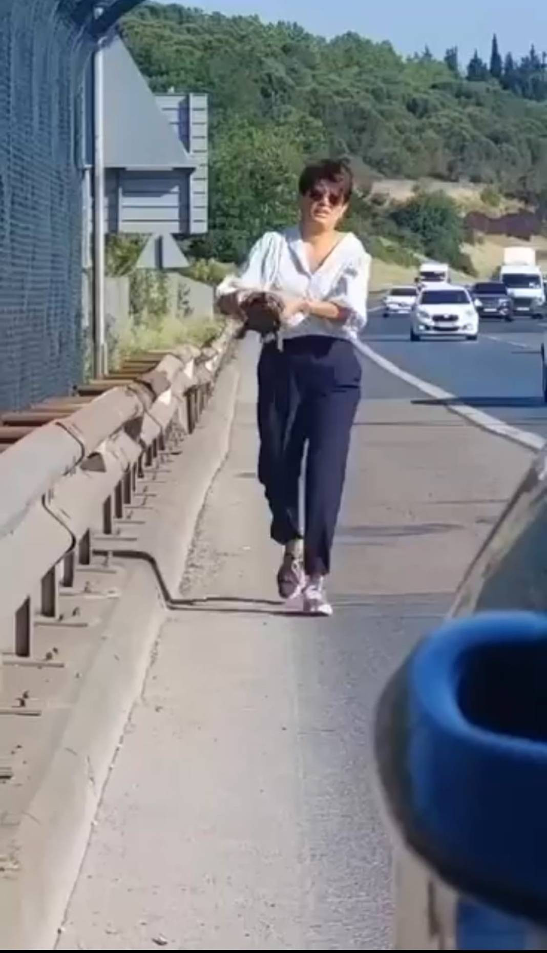 Yer: İstanbul TEM Otoyolu! Metrelerce koştu araçları tek tek durdurup hayatını kurtardı - Resim: 9